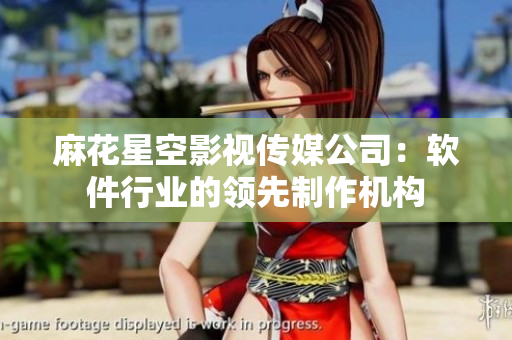 麻花星空影视传媒公司：软件行业的领先制作机构
