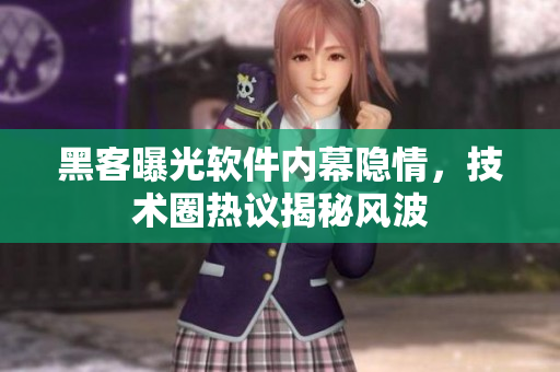 黑客曝光软件内幕隐情，技术圈热议揭秘风波