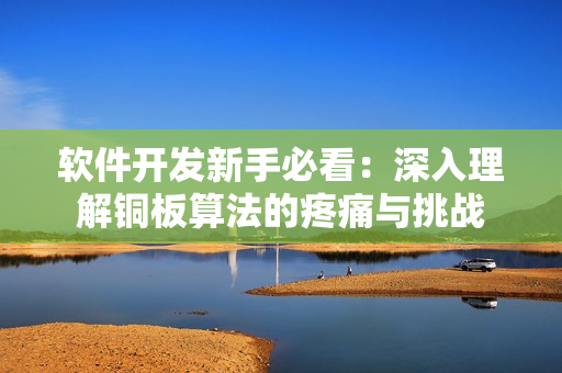 软件开发新手必看：深入理解铜板算法的疼痛与挑战