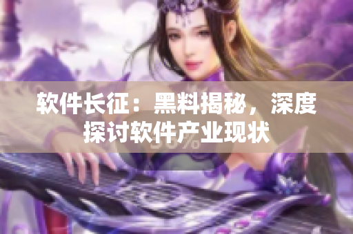 软件长征：黑料揭秘，深度探讨软件产业现状