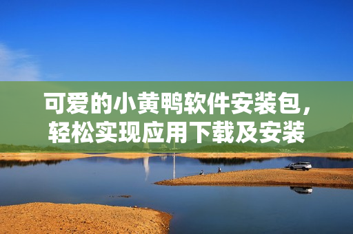 可爱的小黄鸭软件安装包，轻松实现应用下载及安装