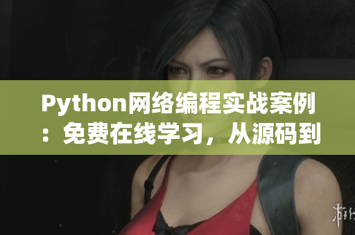 Python网络编程实战案例：免费在线学习，从源码到实现