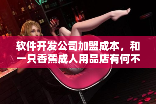软件开发公司加盟成本，和一只香蕉成人用品店有何不同