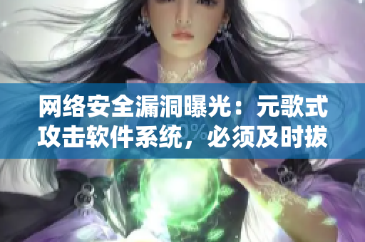 网络安全漏洞曝光：元歌式攻击软件系统，必须及时拔除根源