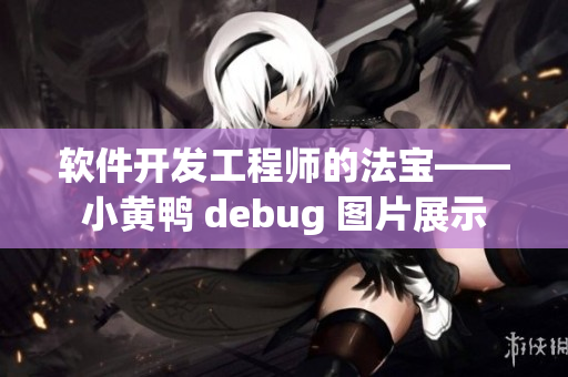 软件开发工程师的法宝——小黄鸭 debug 图片展示