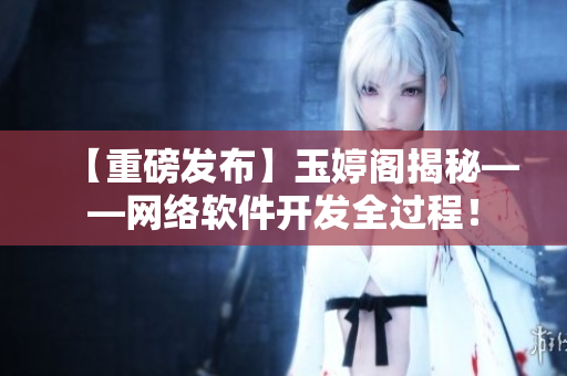 【重磅发布】玉婷阁揭秘——网络软件开发全过程！