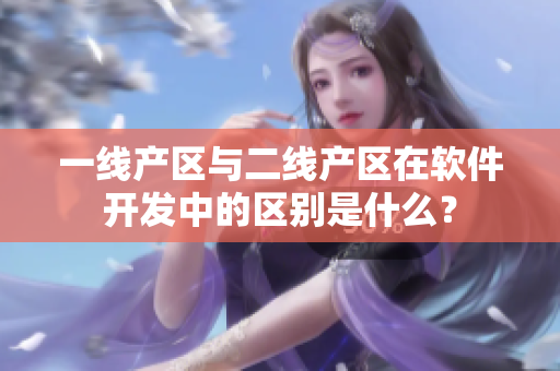一线产区与二线产区在软件开发中的区别是什么？