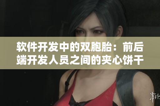 软件开发中的双胞胎：前后端开发人员之间的夹心饼干关系