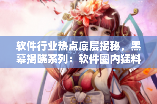 软件行业热点底层揭秘，黑幕揭晓系列：软件圈内猛料不息