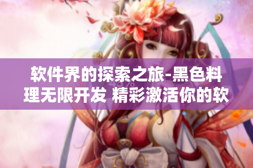 软件界的探索之旅-黑色料理无限开发 精彩激活你的软件潜能
