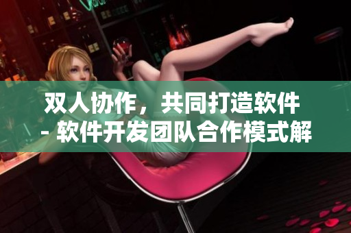 双人协作，共同打造软件 - 软件开发团队合作模式解析