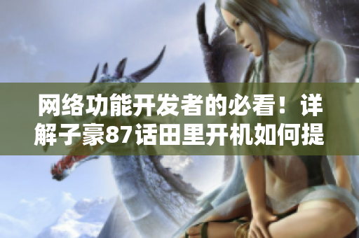 网络功能开发者的必看！详解子豪87话田里开机如何提升软件性能