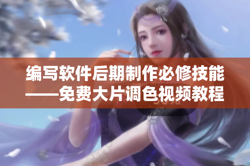 编写软件后期制作必修技能——免费大片调色视频教程全集