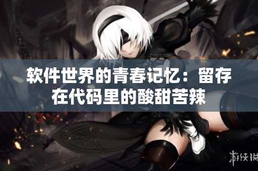 软件世界的青春记忆：留存在代码里的酸甜苦辣