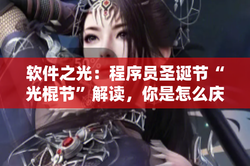 软件之光：程序员圣诞节“光棍节”解读，你是怎么庆祝的？
