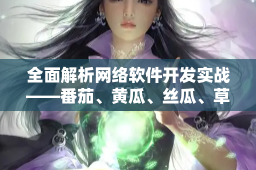 全面解析网络软件开发实战——番茄、黄瓜、丝瓜、草莓和秋葵完整攻略
