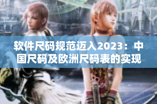 软件尺码规范迈入2023：中国尺码及欧洲尺码表的实现与应用