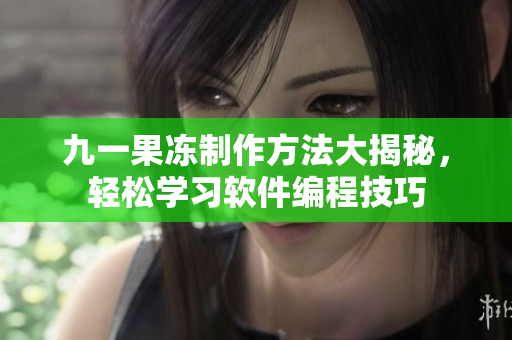 九一果冻制作方法大揭秘，轻松学习软件编程技巧