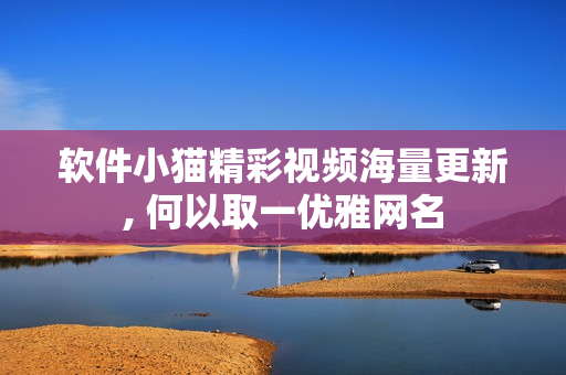 软件小猫精彩视频海量更新, 何以取一优雅网名