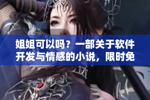 姐姐可以吗？一部关于软件开发与情感的小说，限时免费阅读