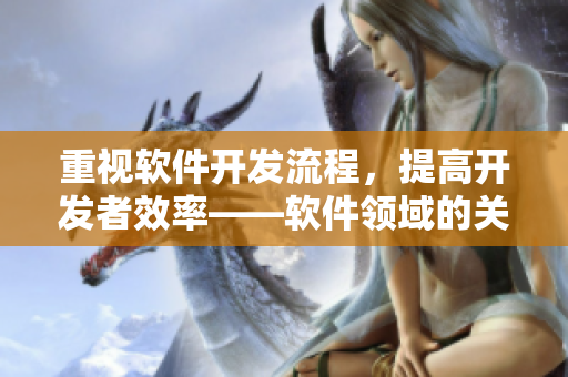 重视软件开发流程，提高开发者效率——软件领域的关键成功因素