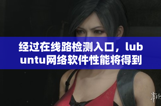 经过在线路检测入口，lubuntu网络软件性能将得到质的提升！