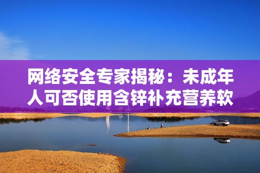 网络安全专家揭秘：未成年人可否使用含锌补充营养软件？