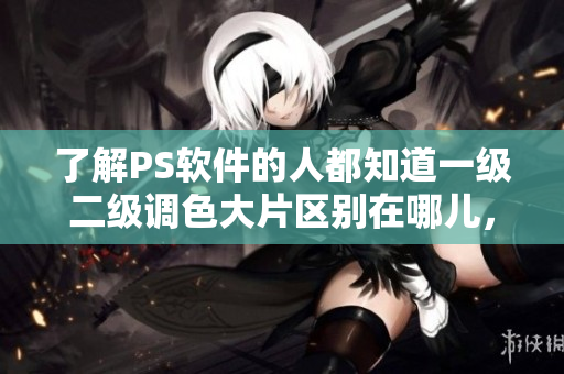 了解PS软件的人都知道一级二级调色大片区别在哪儿，揭秘它们的差异！