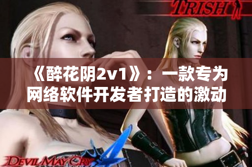 《醉花阴2v1》：一款专为网络软件开发者打造的激动人心的挑战软件