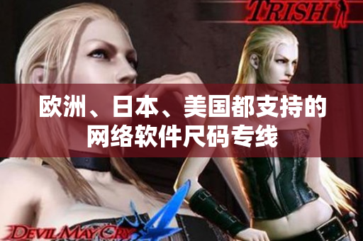 欧洲、日本、美国都支持的网络软件尺码专线