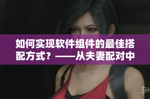 如何实现软件组件的最佳搭配方式？——从夫妻配对中探索灵感