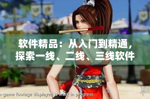 软件精品：从入门到精通，探索一线、二线、三线软件开发之路