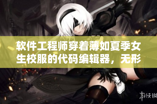 软件工程师穿着薄如夏季女生校服的代码编辑器，无形中暴露了敏感细节