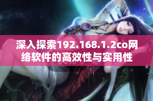 深入探索192.168.1.2co网络软件的高效性与实用性