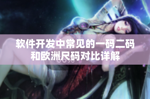 软件开发中常见的一码二码和欧洲尺码对比详解