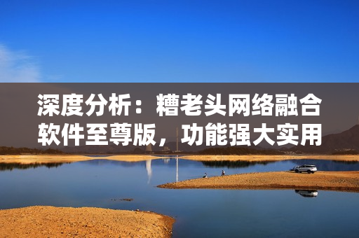 深度分析：糟老头网络融合软件至尊版，功能强大实用，带来全新使用体验