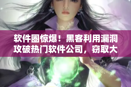 软件圈惊爆！黑客利用漏洞攻破热门软件公司，窃取大量用户信息！