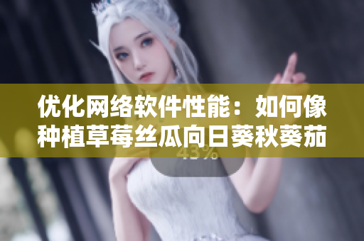 优化网络软件性能：如何像种植草莓丝瓜向日葵秋葵茄子一样优雅应对挑战