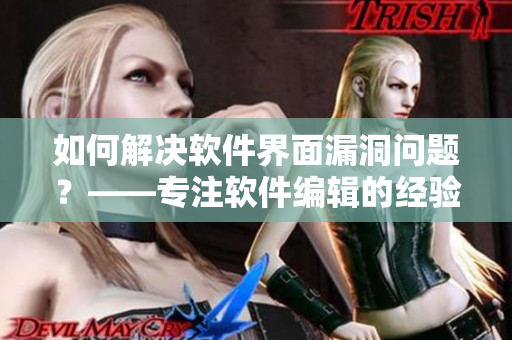 如何解决软件界面漏洞问题？——专注软件编辑的经验分享