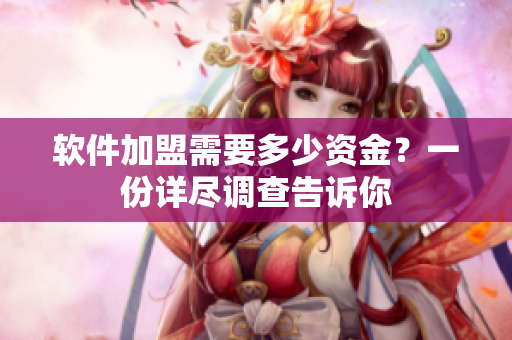 软件加盟需要多少资金？一份详尽调查告诉你