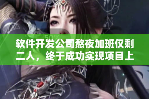 软件开发公司熬夜加班仅剩二人，终于成功实现项目上线