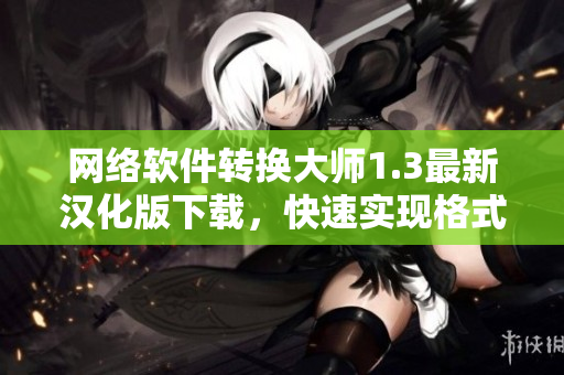 网络软件转换大师1.3最新汉化版下载，快速实现格式转换！