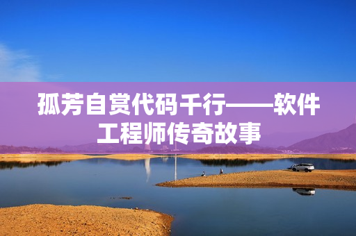 孤芳自赏代码千行——软件工程师传奇故事