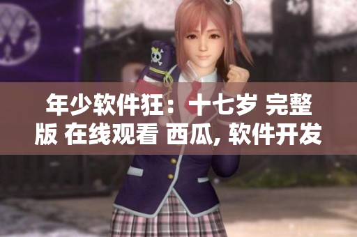 年少软件狂：十七岁 完整版 在线观看 西瓜, 软件开发者的故事