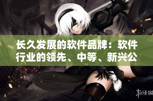 长久发展的软件品牌：软件行业的领先、中等、新兴公司