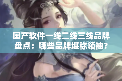 国产软件一线二线三线品牌盘点：哪些品牌堪称领袖？
