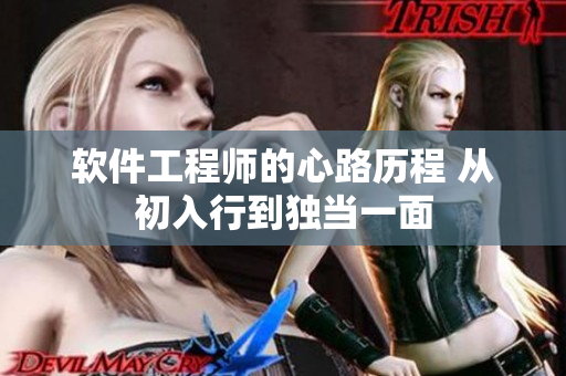 软件工程师的心路历程 从初入行到独当一面