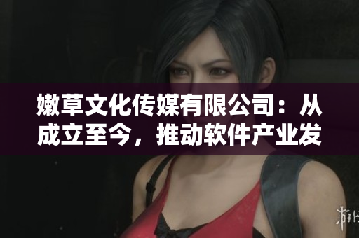 嫩草文化传媒有限公司：从成立至今，推动软件产业发展