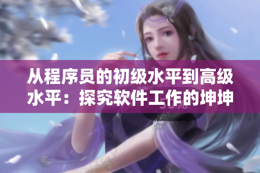 从程序员的初级水平到高级水平：探究软件工作的坤坤