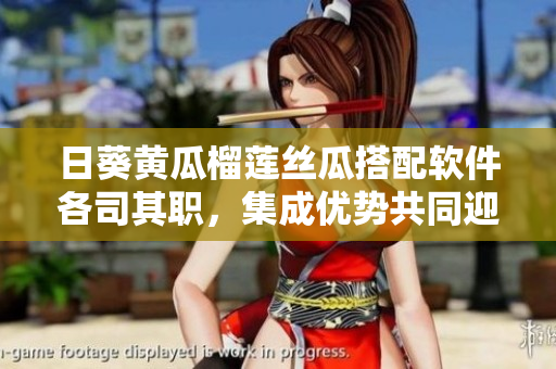 日葵黄瓜榴莲丝瓜搭配软件各司其职，集成优势共同迎接挑战